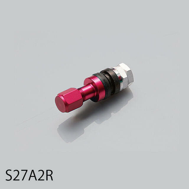 AIR VALVE for RPF1/RPF1 RS/RS＋M｜WEB STORE｜ENKEI WHEELS